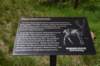 dsc_9571_fs_small.jpg