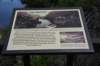 dsc_9578_fs_small.jpg