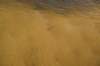 dsc_9580_fs_small.jpg