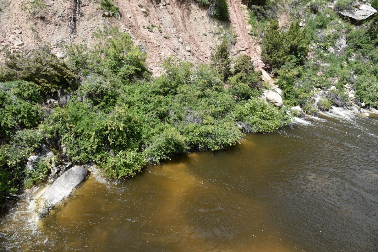 dsc_9585_fs.jpg