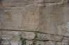 dsc_9592_fs_small.jpg