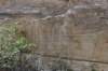 dsc_9593_fs_small.jpg