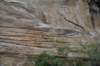 dsc_9597_fs_small.jpg