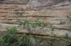 dsc_9601_fs_small.jpg