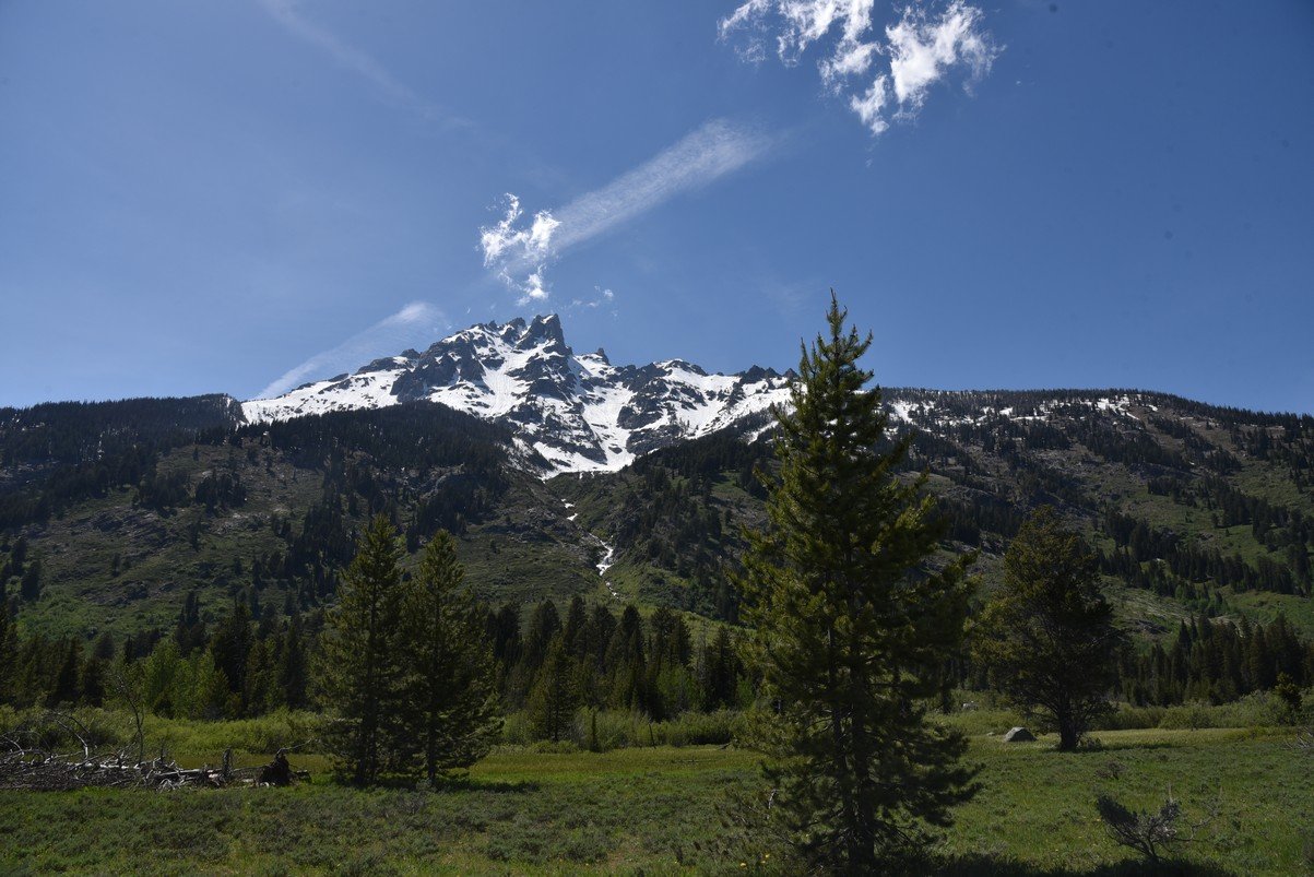 dsc_0010_fs.jpg