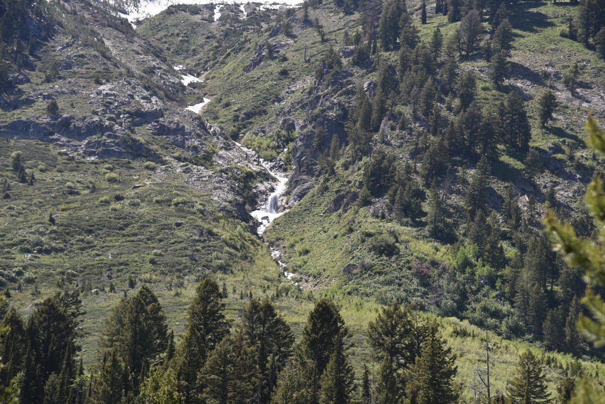 dsc_0011_fs.jpg