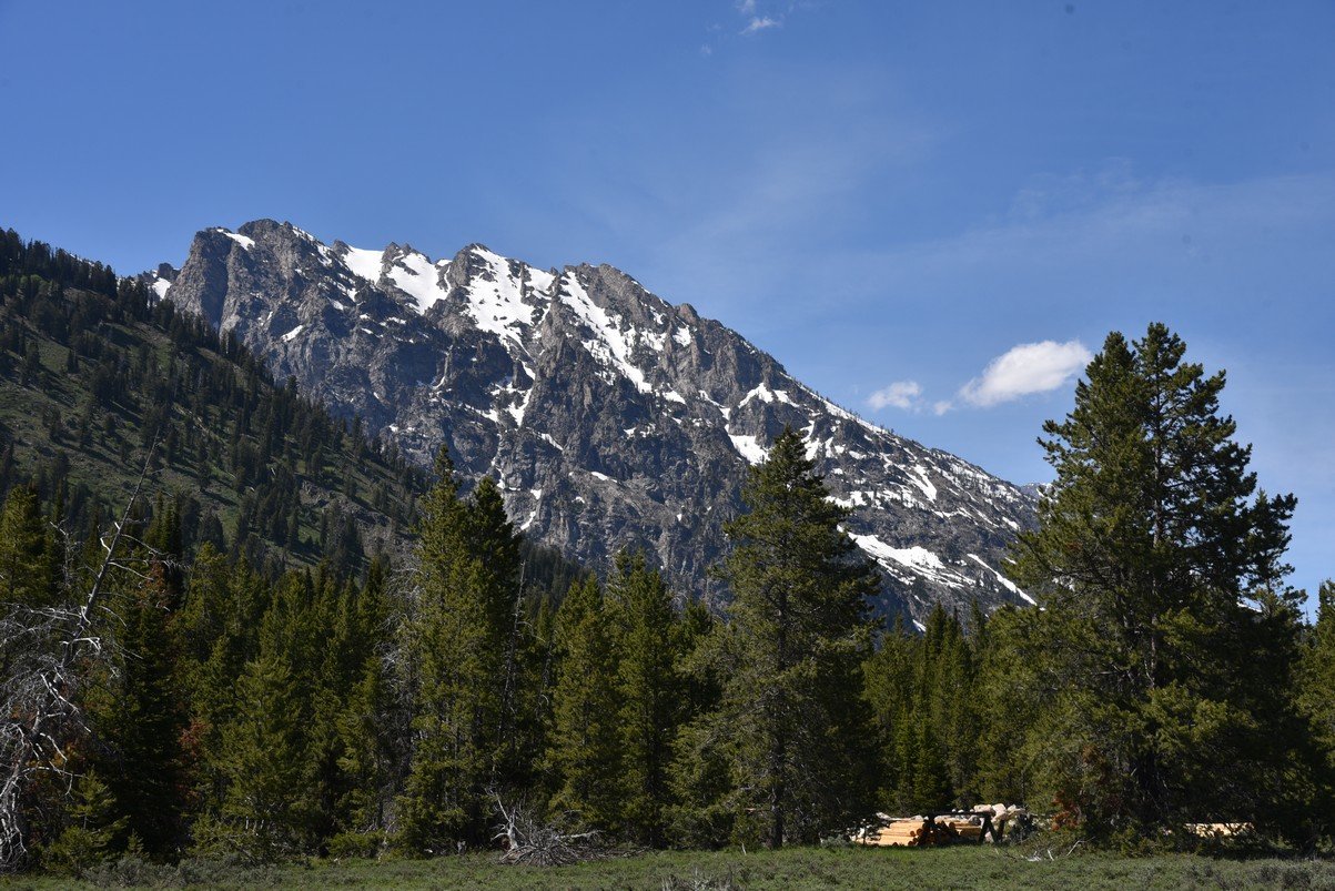 dsc_0013_fs.jpg