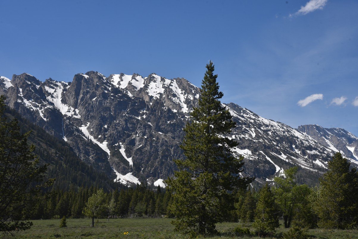 dsc_0014_fs.jpg