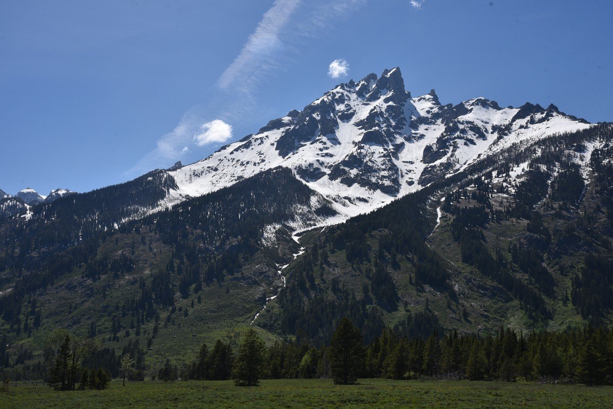 dsc_0018_fs.jpg