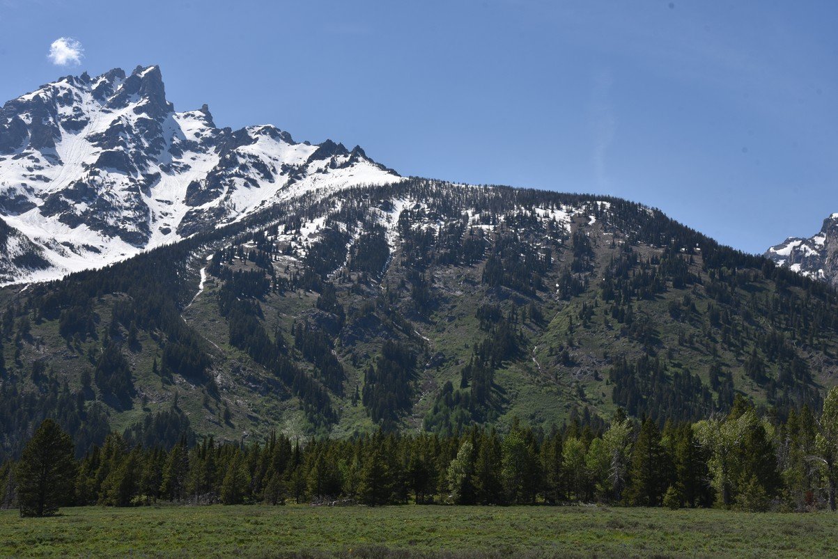 dsc_0019_fs.jpg