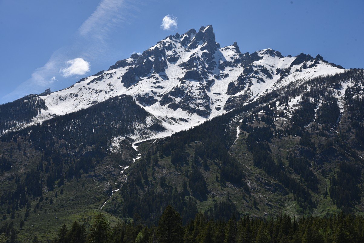 dsc_0020_fs.jpg