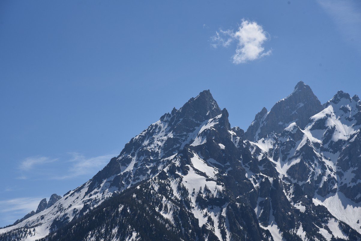 dsc_0026_fs.jpg