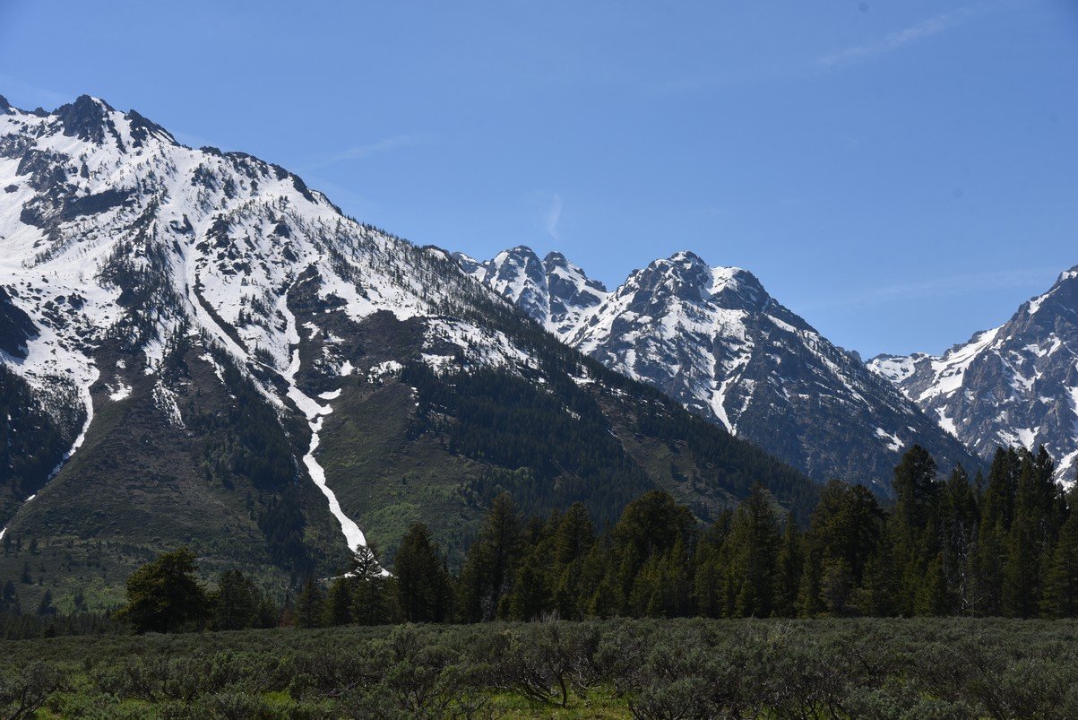 dsc_0040_fs.jpg