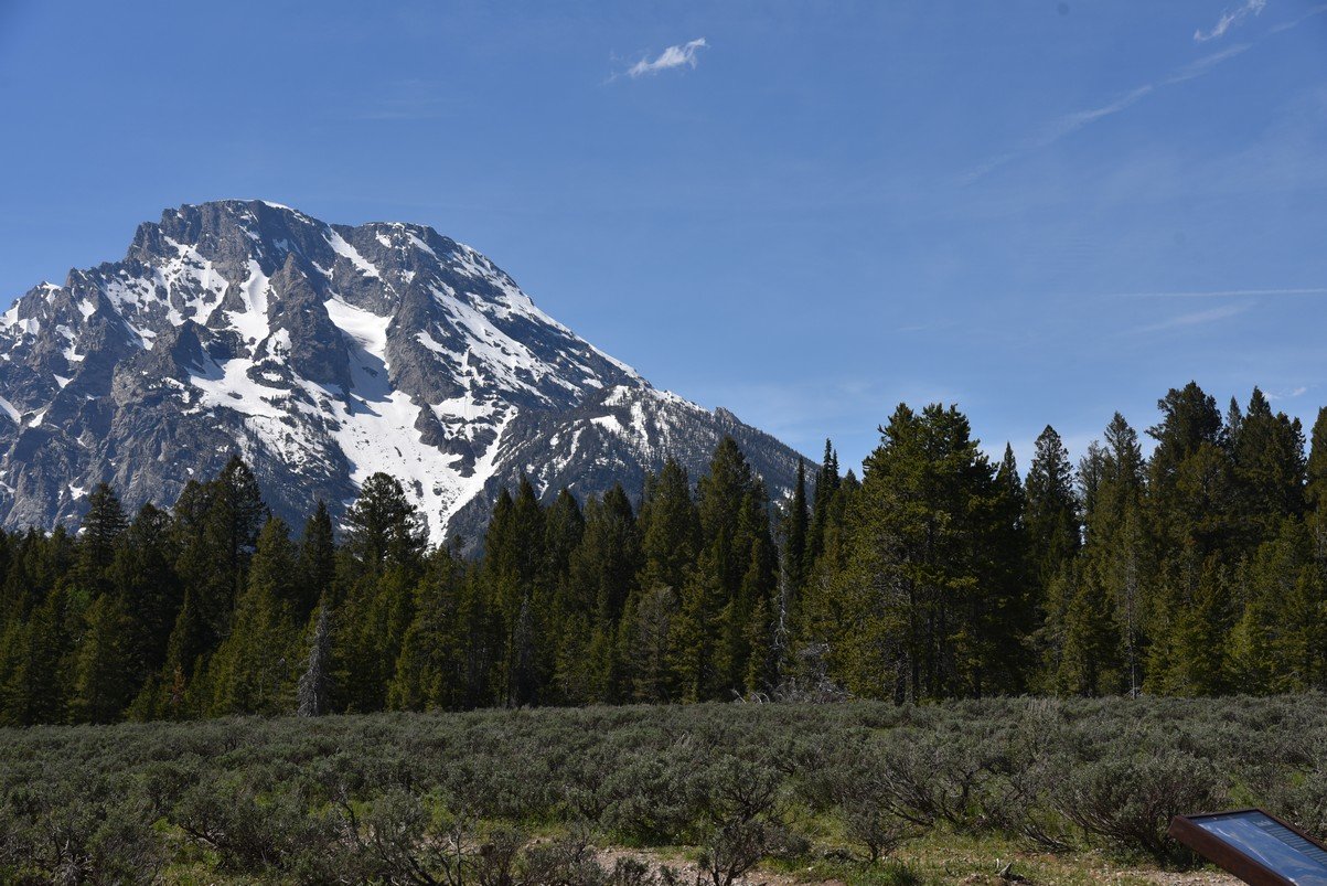 dsc_0043_fs.jpg