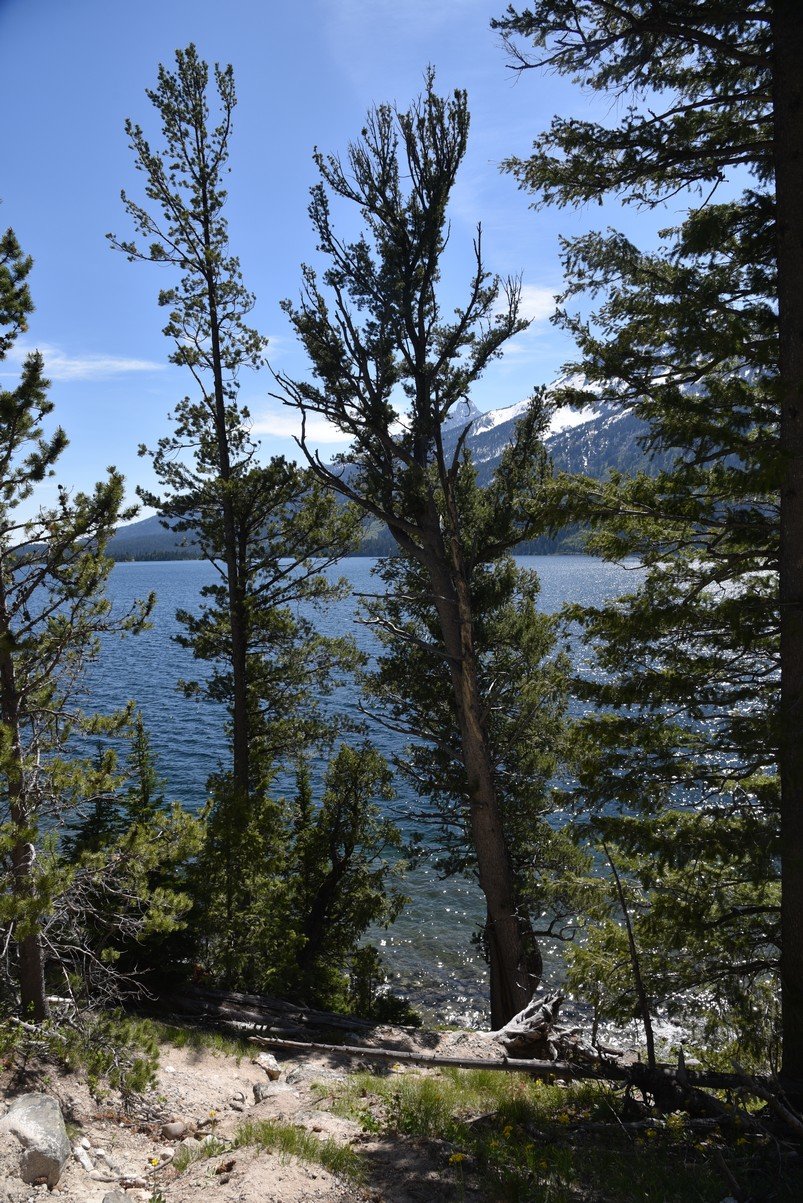 dsc_0050_fs.jpg