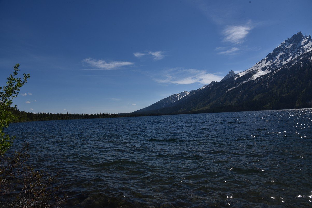 dsc_0052_fs.jpg