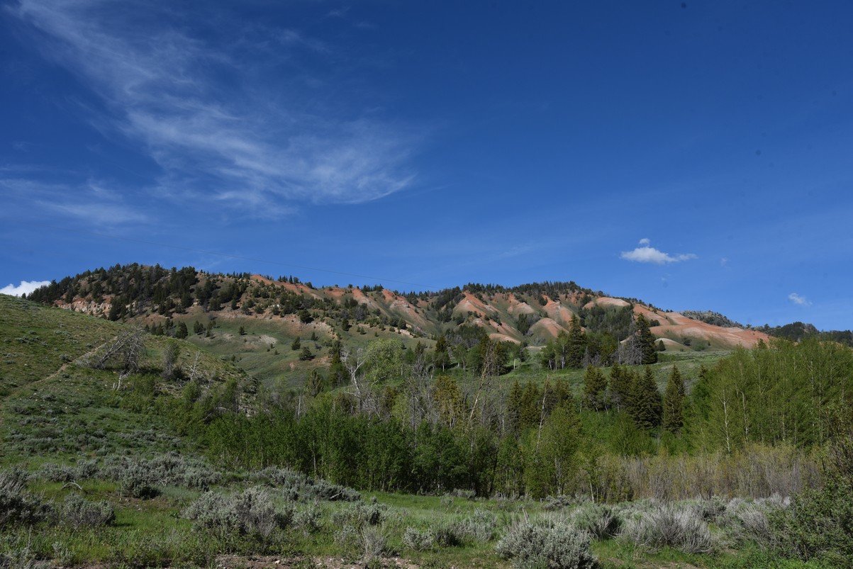 dsc_0132_fs.jpg