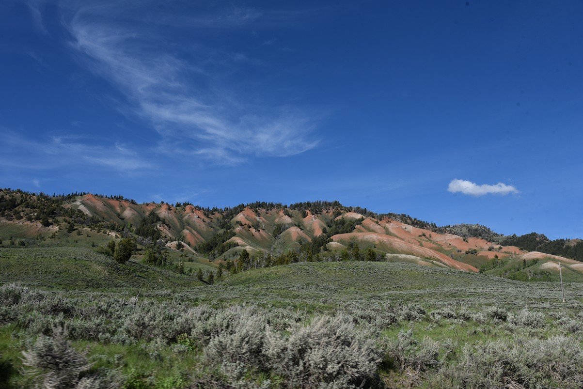 dsc_0133_fs.jpg
