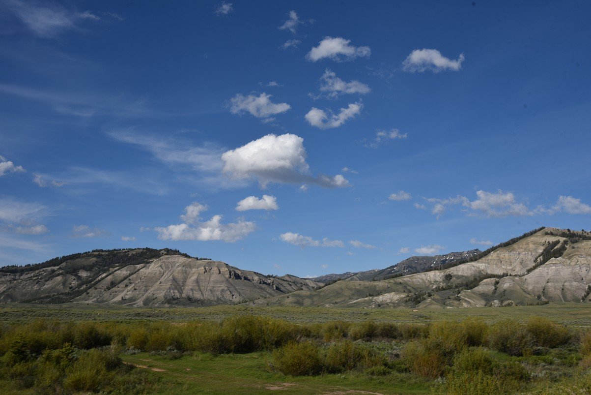 dsc_0168_fs.jpg