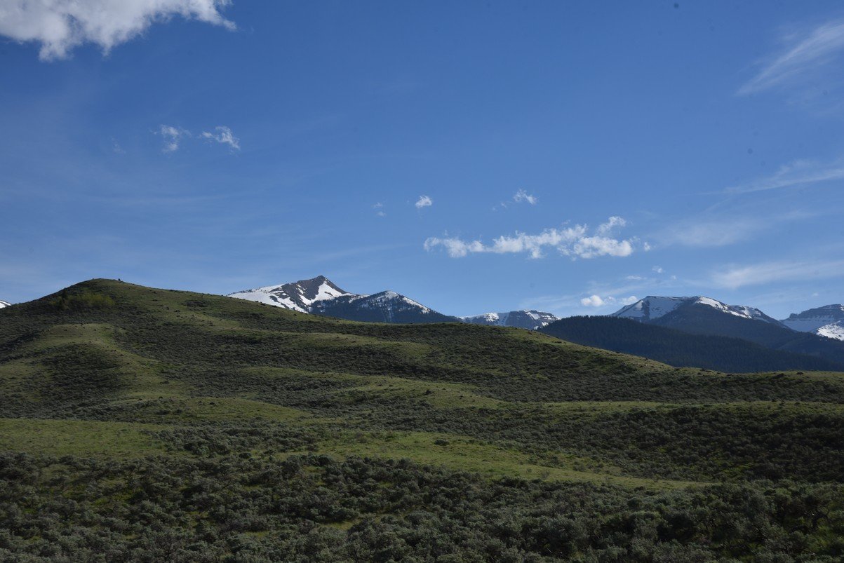 dsc_0189_fs.jpg