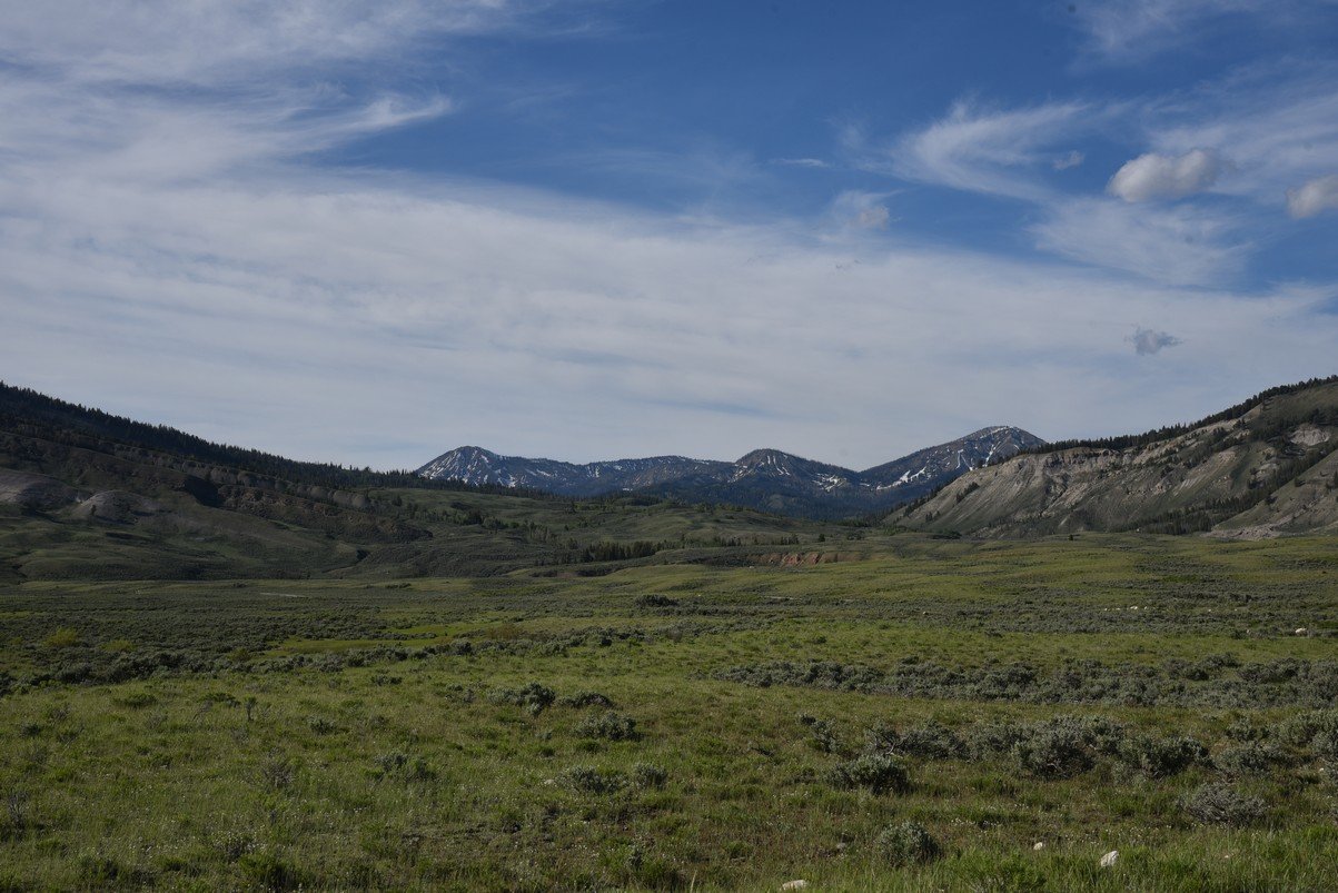 dsc_0203_fs.jpg