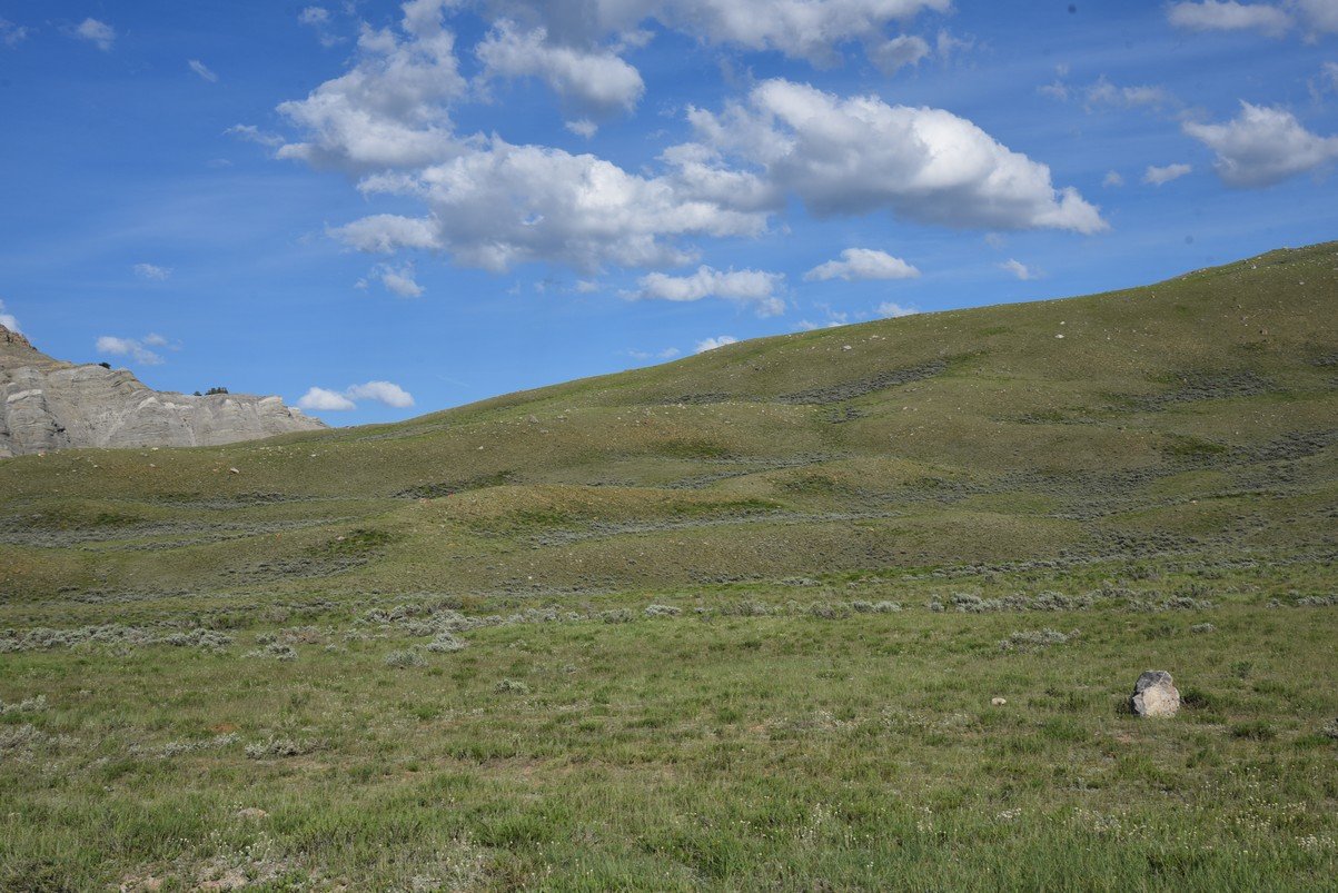 dsc_0210_fs.jpg