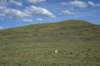 dsc_0211_fs_small.jpg