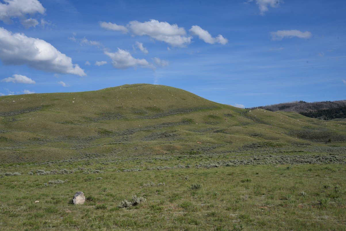 dsc_0212_fs.jpg