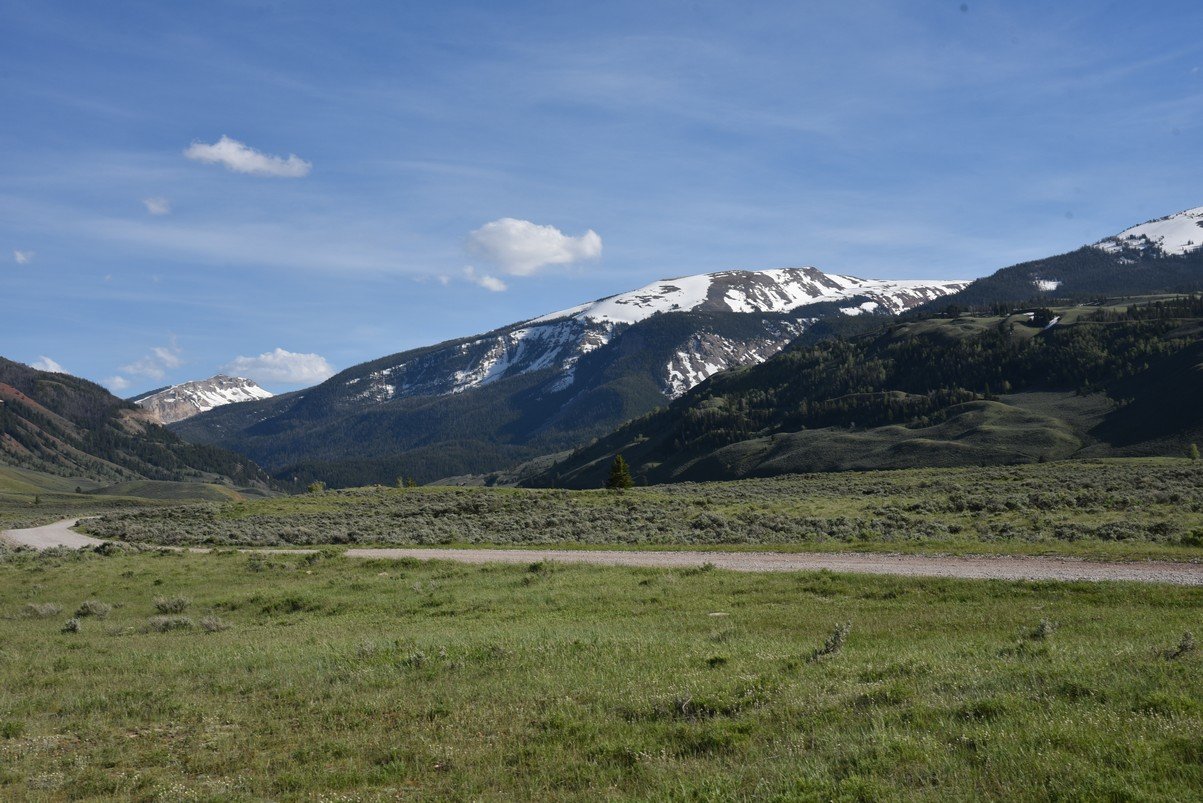 dsc_0215_fs.jpg