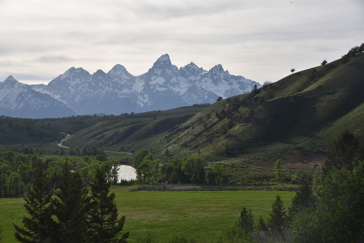dsc_0244_fs.jpg