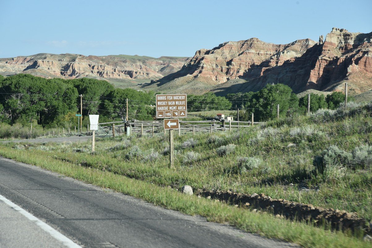 dsc_9686_fs.jpg