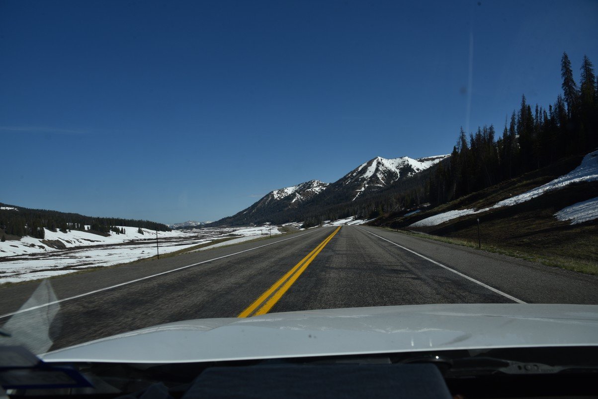 dsc_9795_fs.jpg