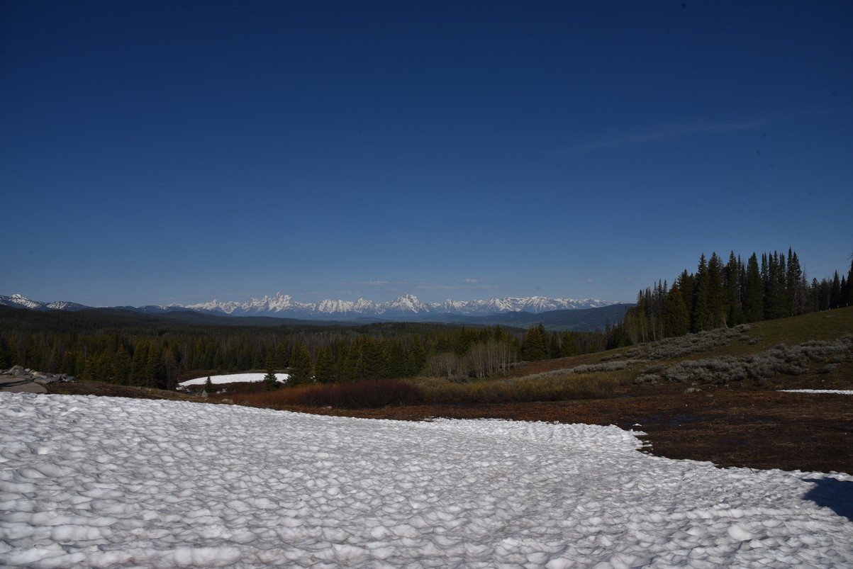 dsc_9798_fs.jpg