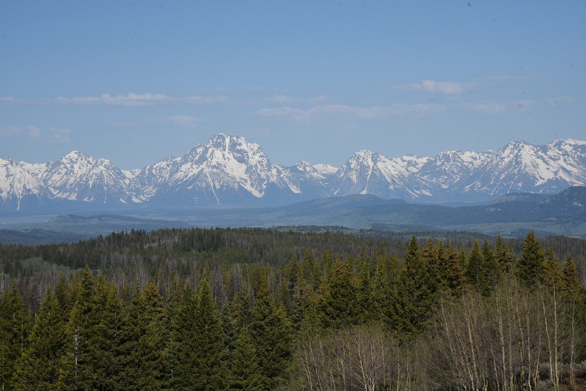 dsc_9802_fs.jpg