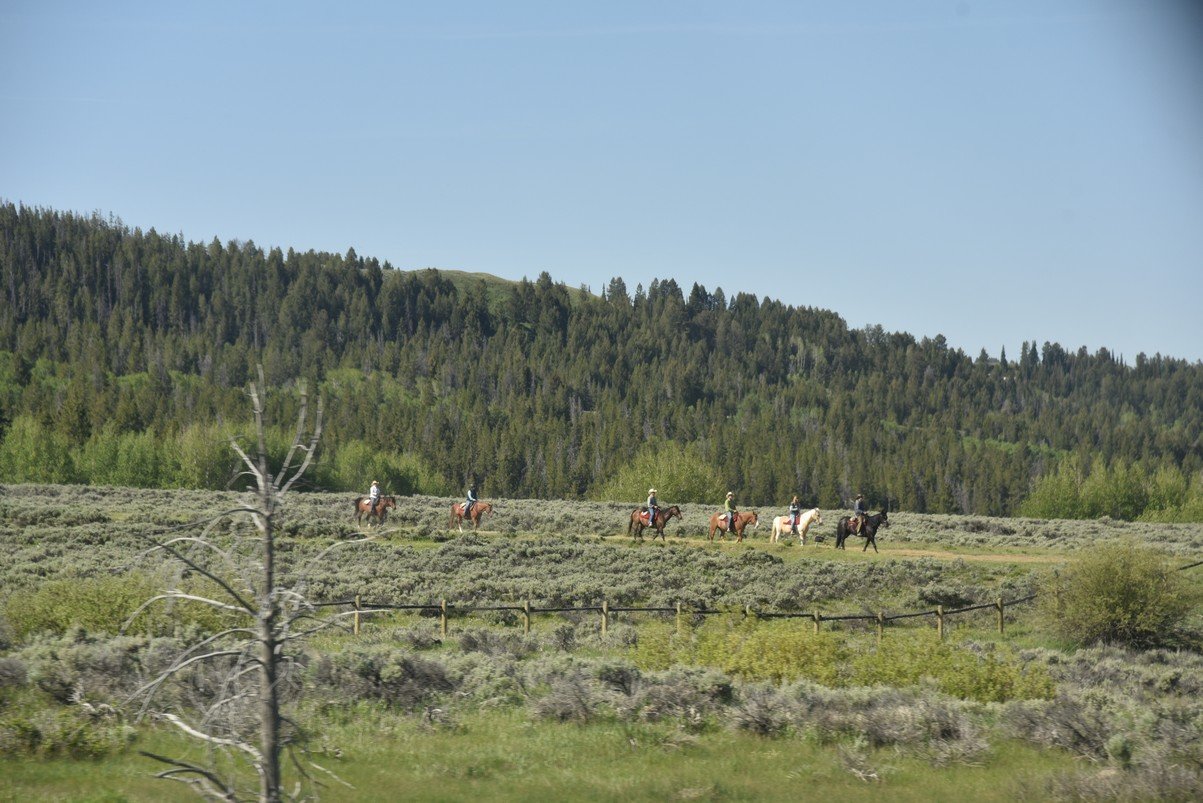 dsc_9827_fs.jpg