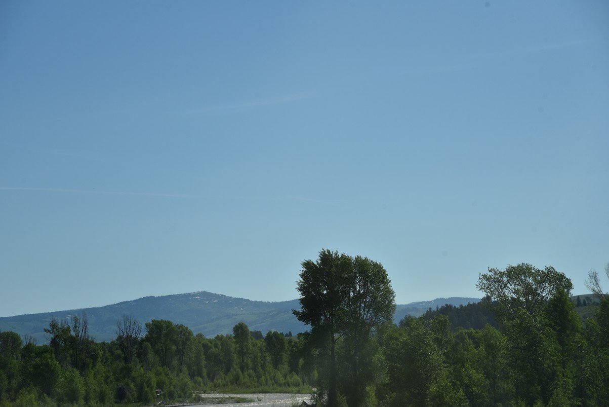 dsc_9838_fs.jpg