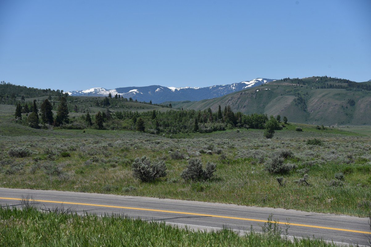 dsc_9870_fs.jpg
