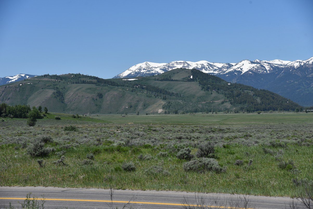 dsc_9871_fs.jpg