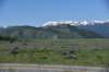dsc_9871_fs_small.jpg