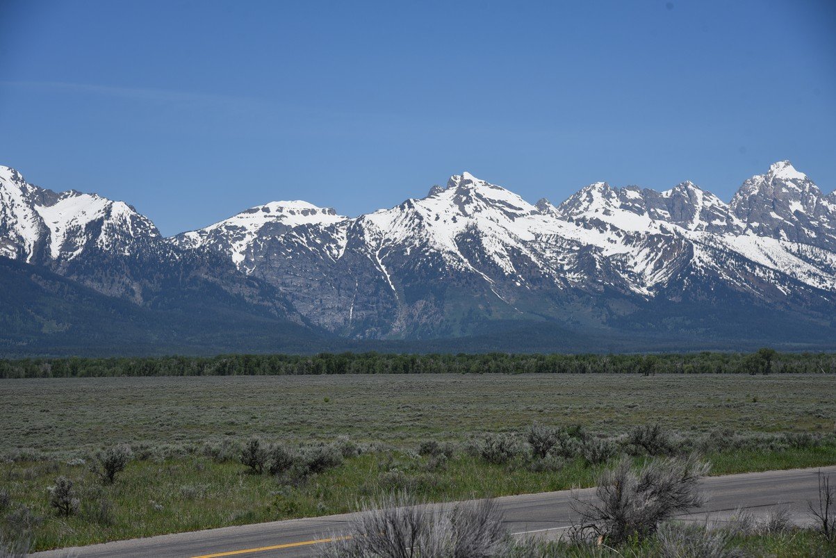 dsc_9877_fs.jpg
