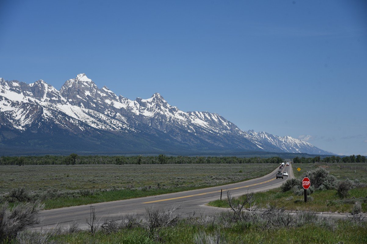 dsc_9879_fs.jpg