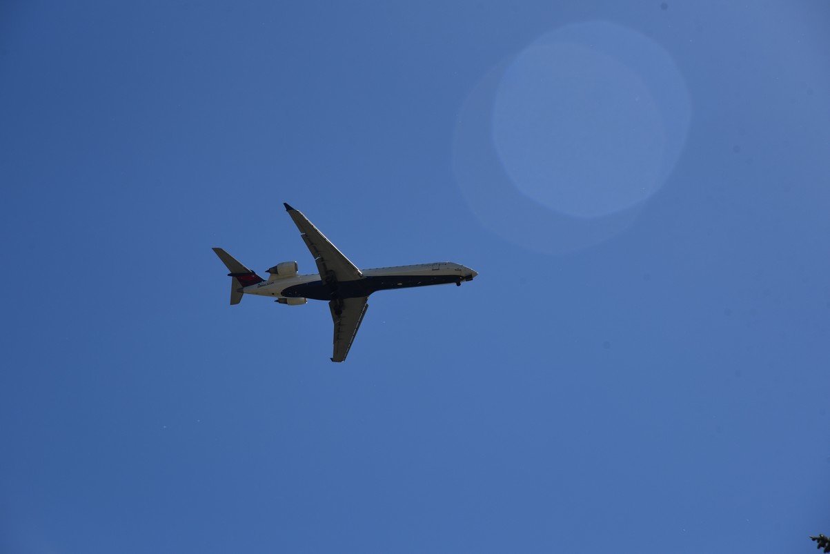 dsc_9890_fs.jpg