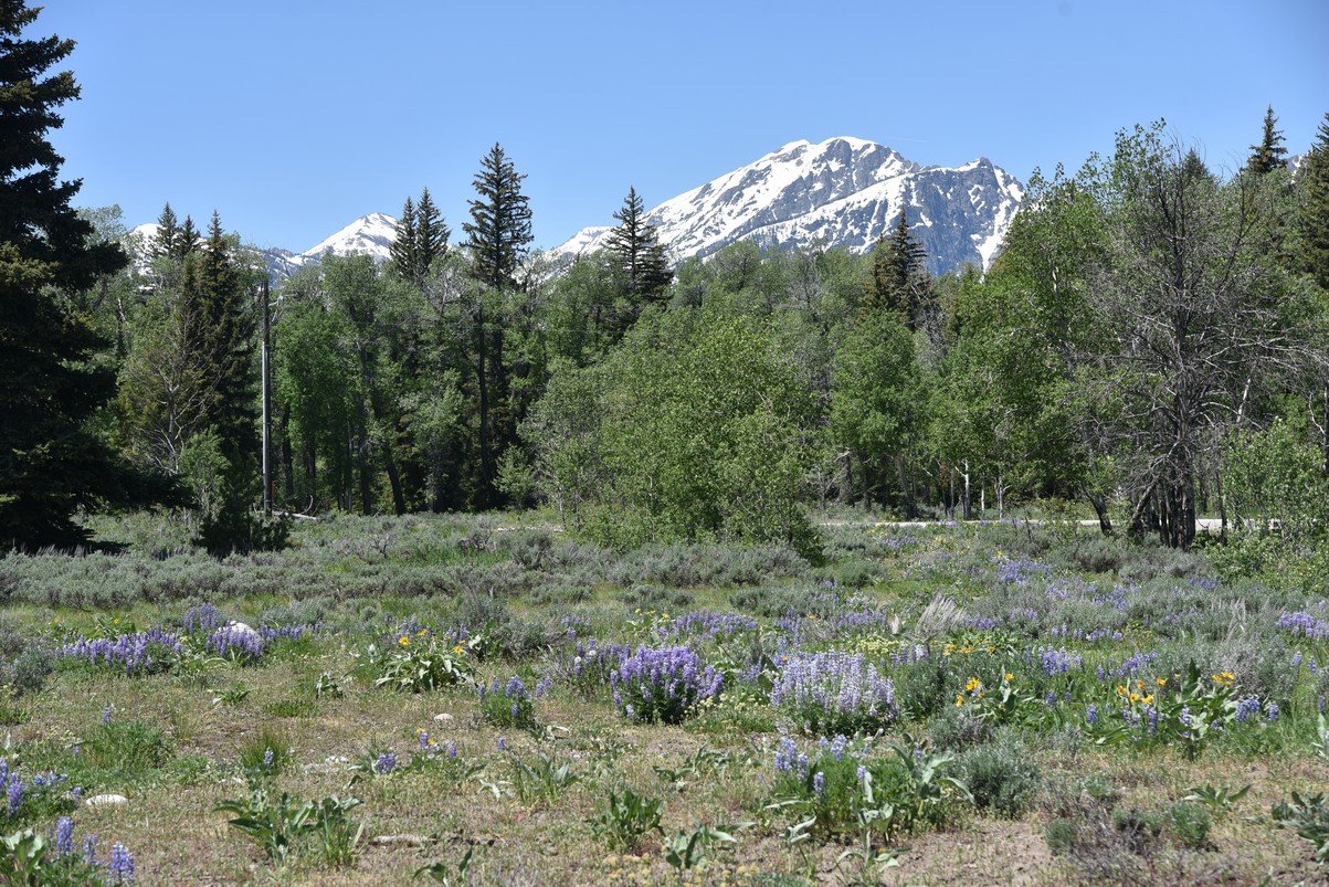 dsc_9896_fs.jpg
