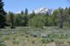 dsc_9896_fs_small.jpg