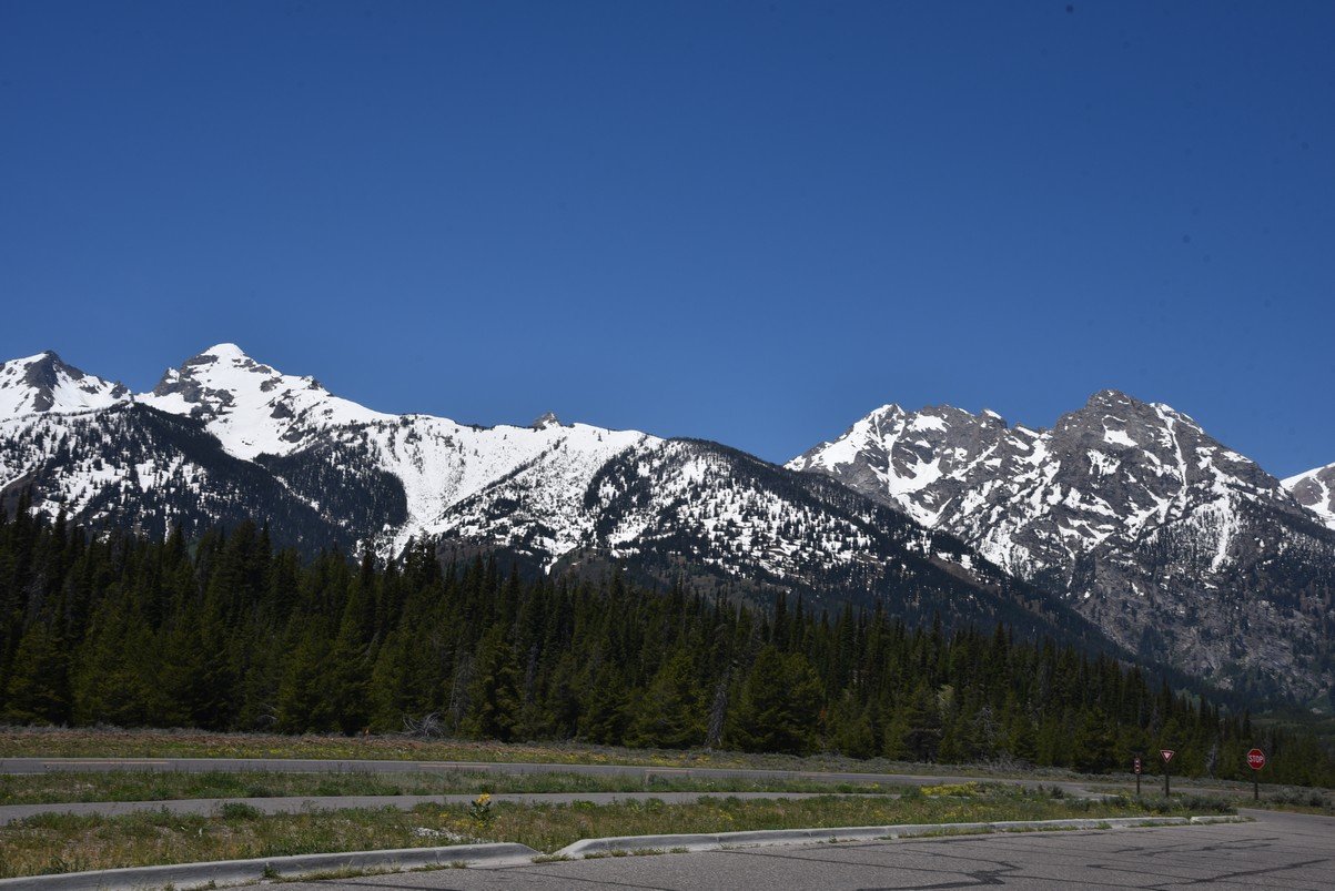 dsc_9900_fs.jpg