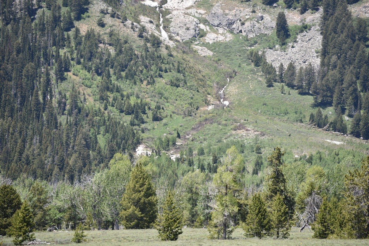 dsc_9923_fs.jpg