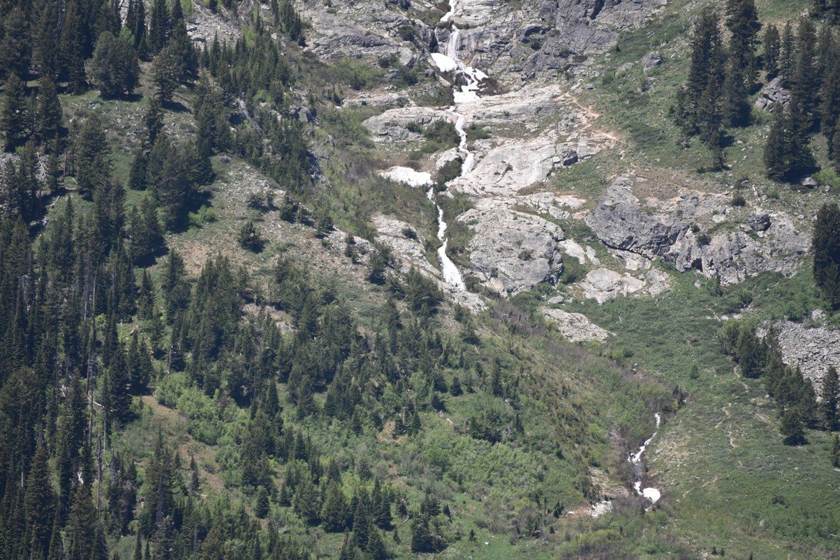 dsc_9926_fs.jpg