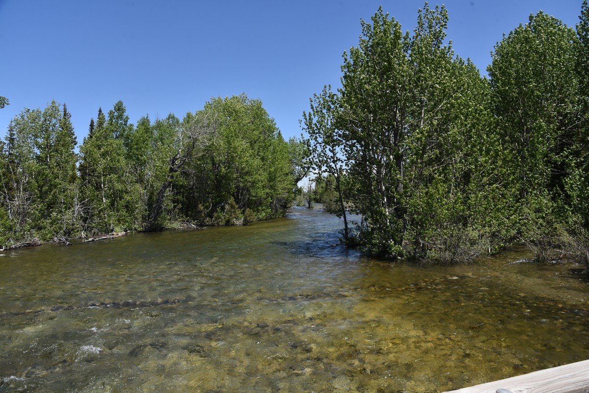 dsc_9929_fs.jpg
