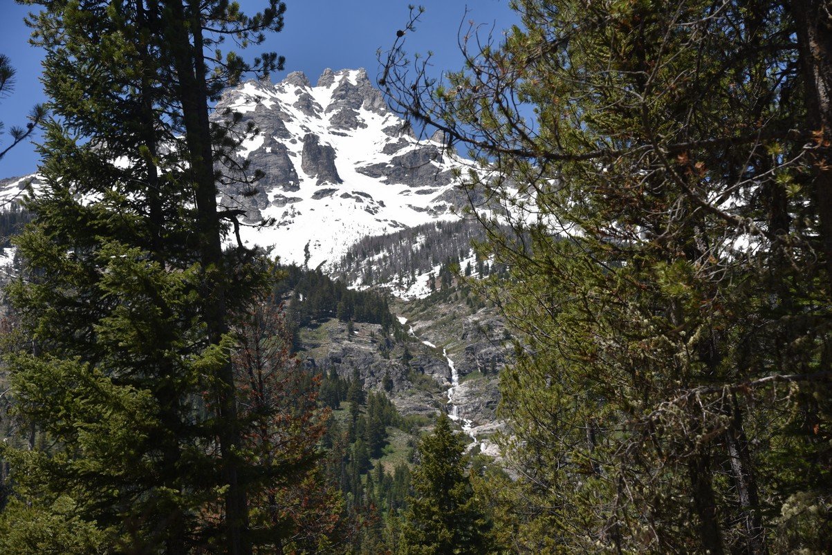 dsc_9935_fs.jpg