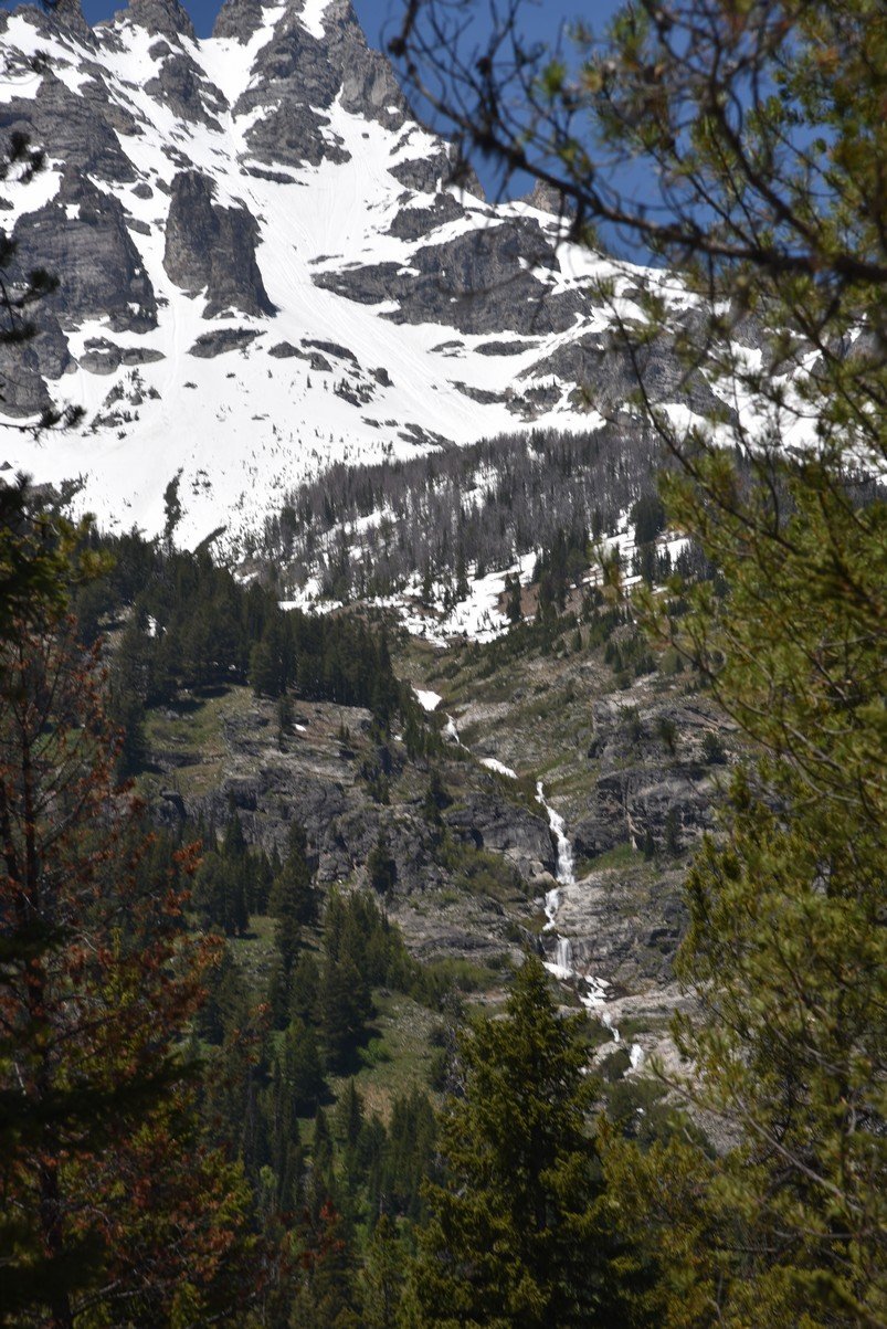 dsc_9936_fs.jpg